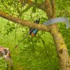 Gardena StarCut pro L teleszkópos ágvágó és fűrész