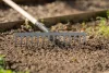 Gardena PureLine Gereblye FSC® 100%