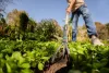 Gardena PureLine Talajlazító FSC® 100%