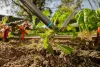 Gardena PureLine Villáskapa FSC® 100%