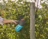 Gardena combisystem Bogyósgyümölcs-szüretelő készlet Készlet erejéig!