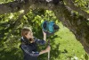 Gardena combisystem gyümölcsfelszedő készlet(3108/fanyél 130 cm FSC® 100%)