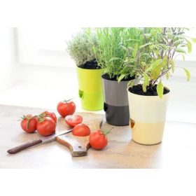 Kaspó Rosmarin Önöntözős 14 ANTRA