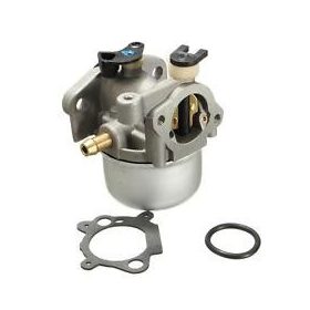 GreenPower KARBURÁTOR BRIGGS 799871