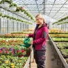 Női softshell, víz- és szélálló munkavédelmi kabát, vízállóság:8000, lélegző:1000, XL