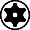 Wiha Professional bit Furatos TORX 1/4" E6,3 T25H x 50 mm (20221)