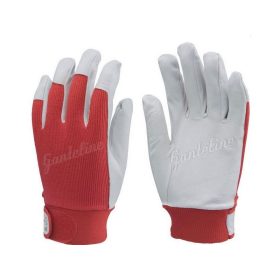 SOFÕRKESZTYÛ R 840 SZÍNSERTÉS 10 MÉRET/ 12 PÁR