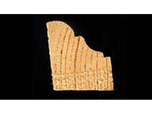 LÉC PARKETTASZEGÉLY 2 FM/20 DB